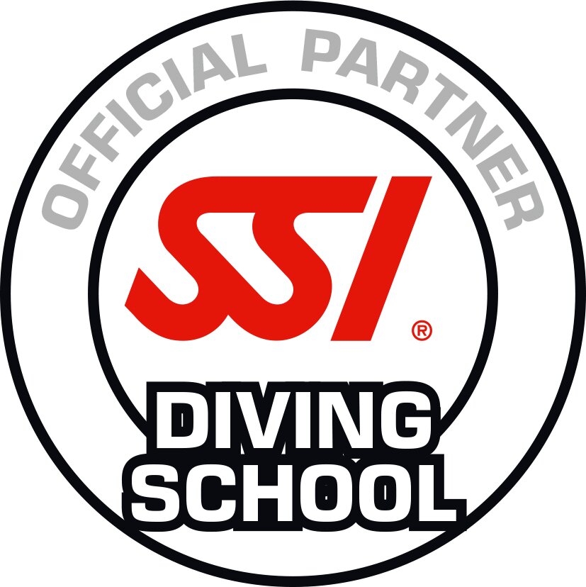 SSI_Logo_Diving_School